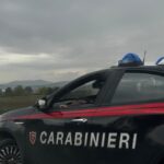 Valle Ufita, controlli a tappeto dei Carabinieri: sventati furti negli stabilimenti industriali e scoperta una piantagione di canapa