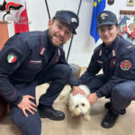 Aquilonia, i Carabinieri Forestali soccorrono un cane disperso e lo consegnano alla legittima proprietaria