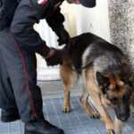 Sant’Angelo dei Lombardi, 23enne arrestato dai Carabinieri per detenzione di sostanze stupefacenti e resistenza, lesioni personali e minacce a Pubblico Ufficiale