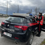 Venticano, i Carabinieri sventano un furto in un’azienda