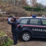 Santo Stefano del Sole, distruzione e deturpamento di bellezze naturali: proprietaria di un fondo denunciata dai Carabinieri Forestali