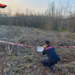 Ariano Irpino, distruzione e deturpamento di bellezze naturali: sequestrata dai Carabinieri Forestali un’area boschiva di circa 4mila mq